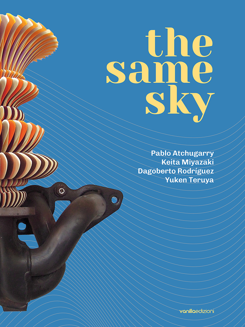 cover_the_same_sky_web